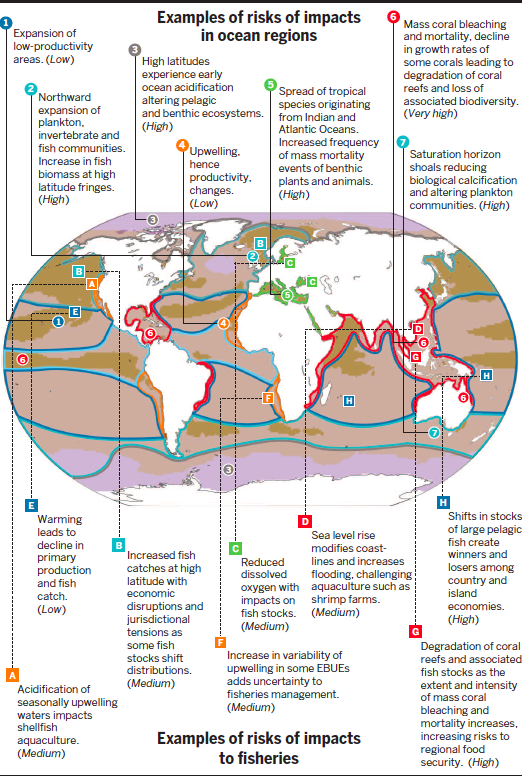 Diagram showing impact of ocean acidification