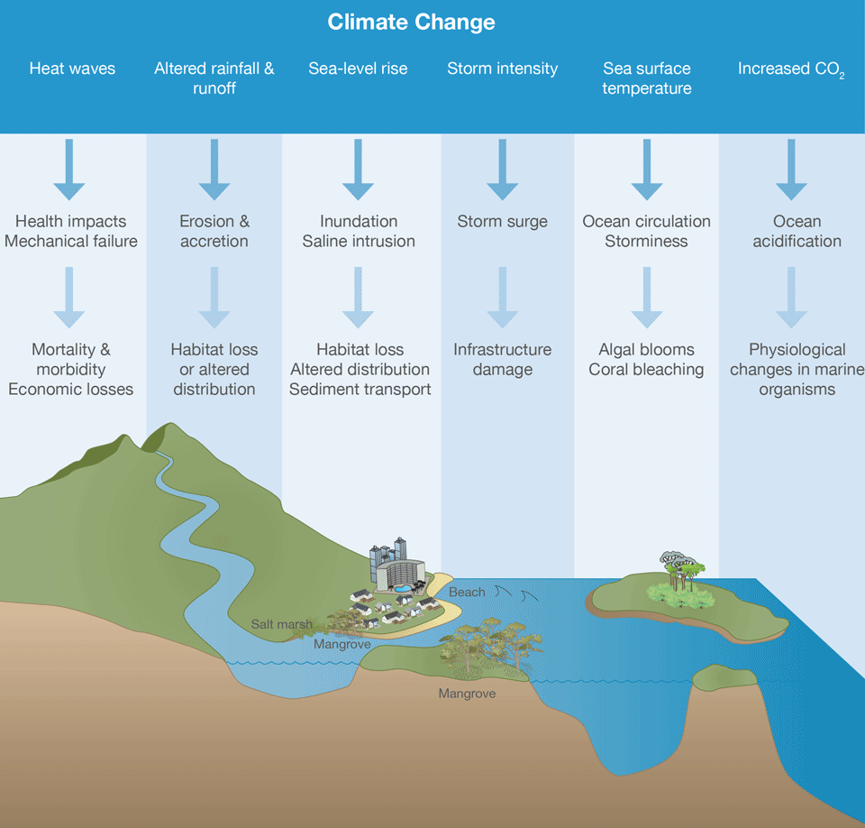 Impacts of climate change on coastal areas