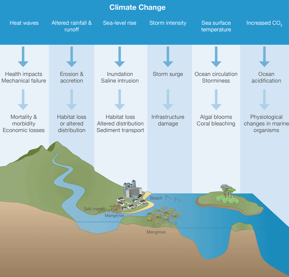 Overview of the impacts on our coast | CoastAdapt