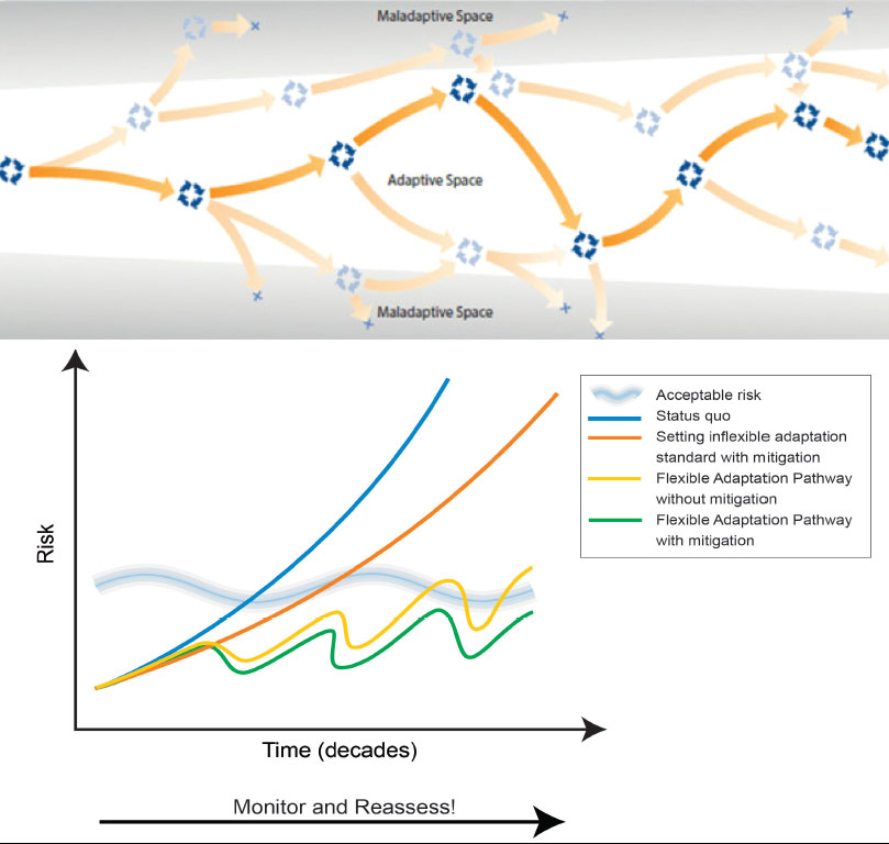  Models of the adaptation pathways approach