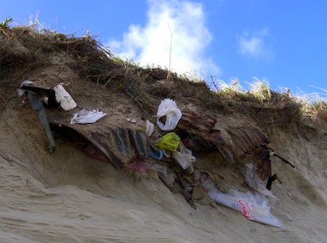 Rubbish being exposed in eroding dune